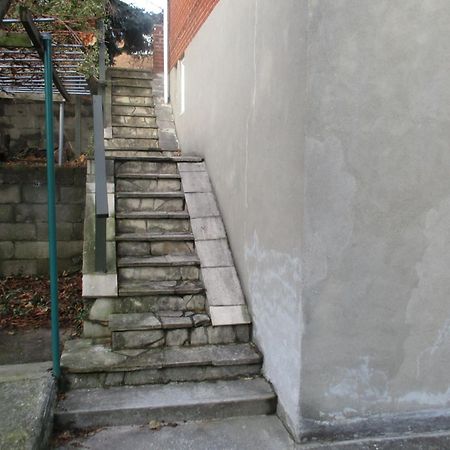 High Park Single Room With Personal Washroom And Kitchen Toronto Kültér fotó