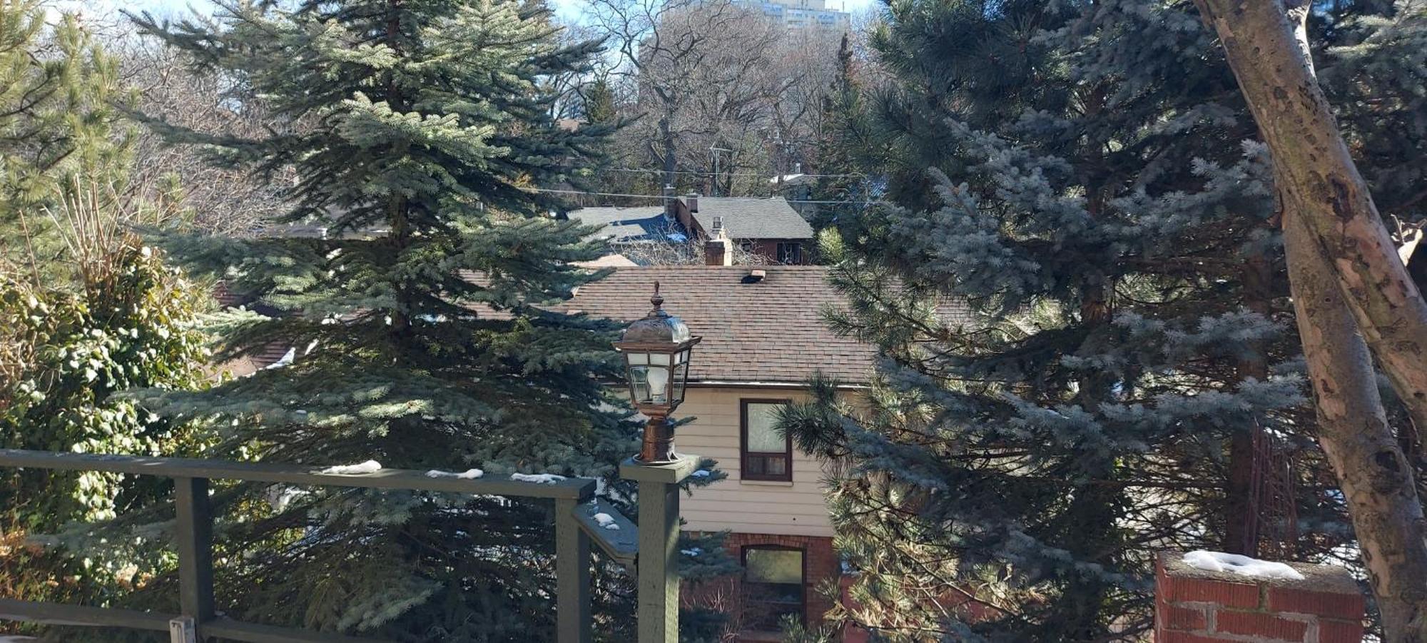 High Park Single Room With Personal Washroom And Kitchen Toronto Kültér fotó