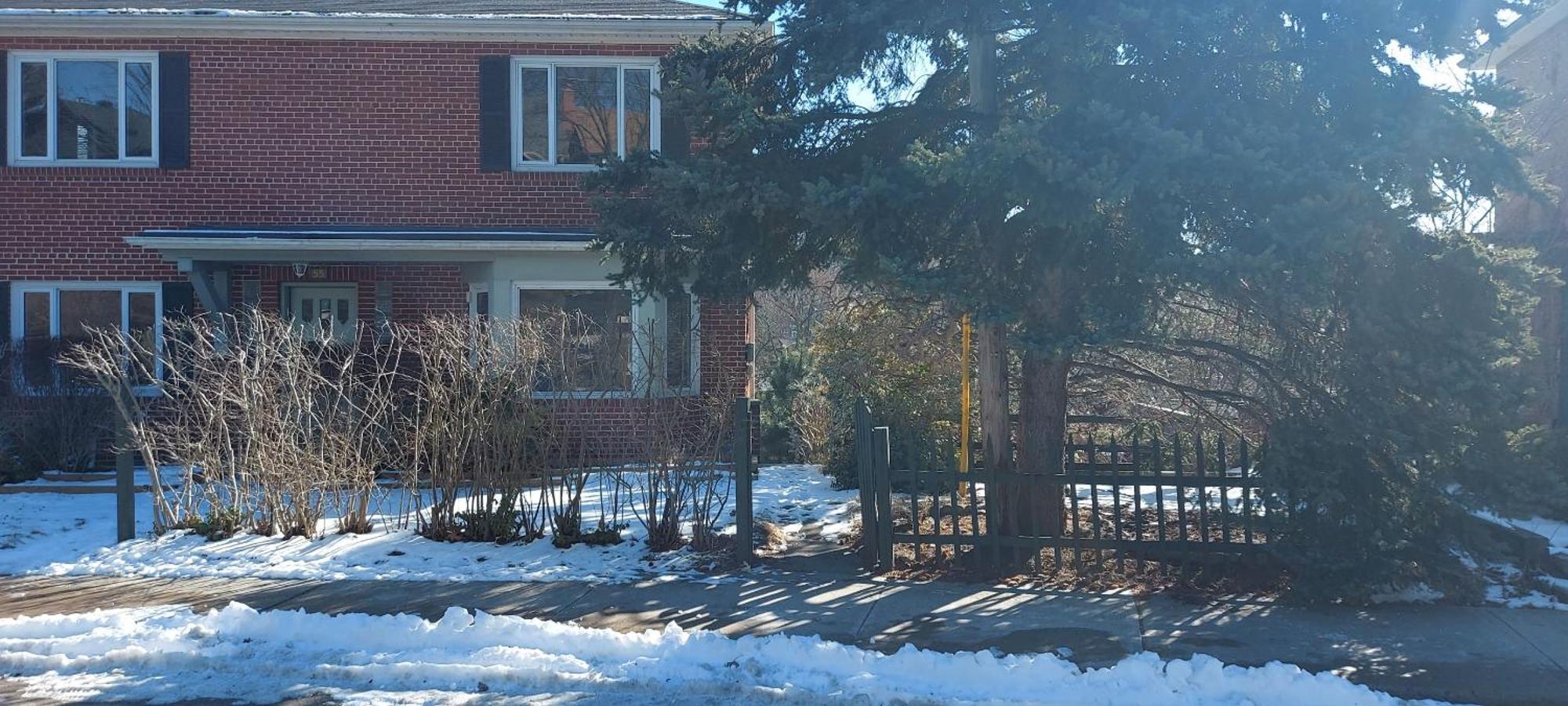 High Park Single Room With Personal Washroom And Kitchen Toronto Kültér fotó