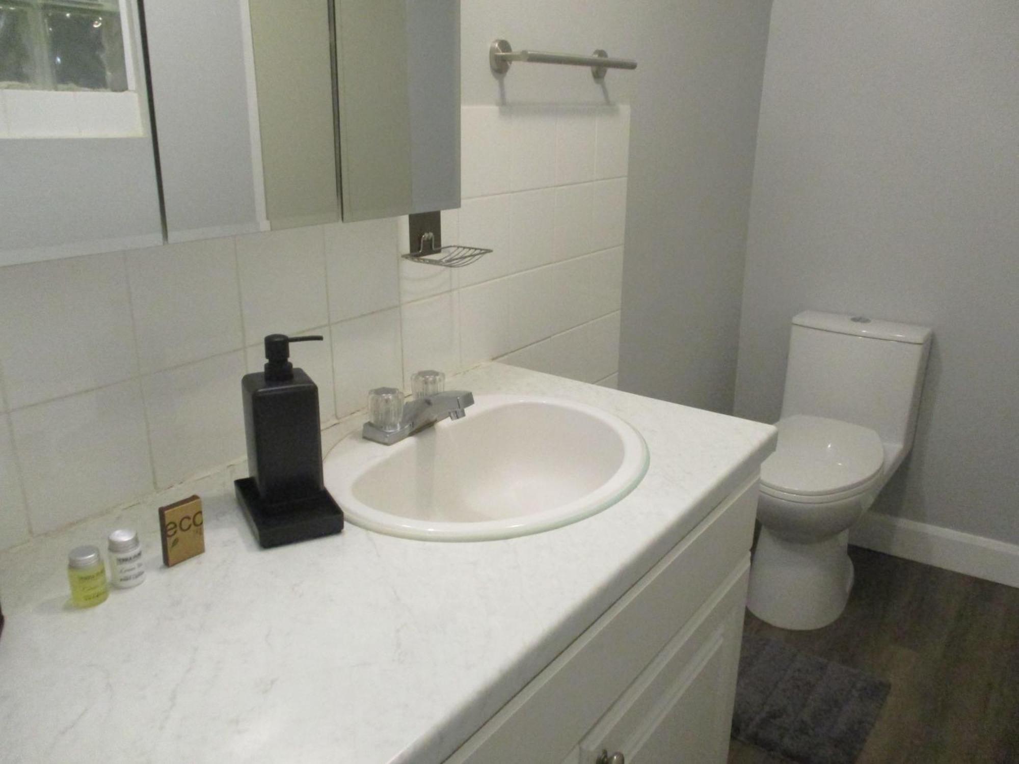 High Park Single Room With Personal Washroom And Kitchen Toronto Kültér fotó