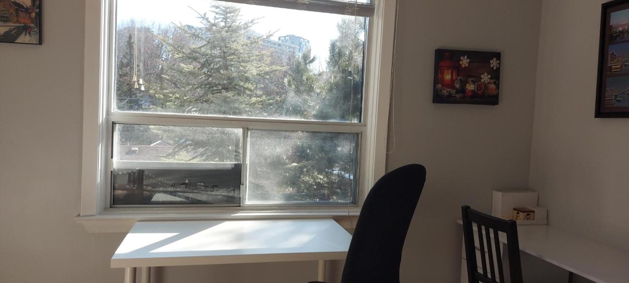 High Park Single Room With Personal Washroom And Kitchen Toronto Kültér fotó
